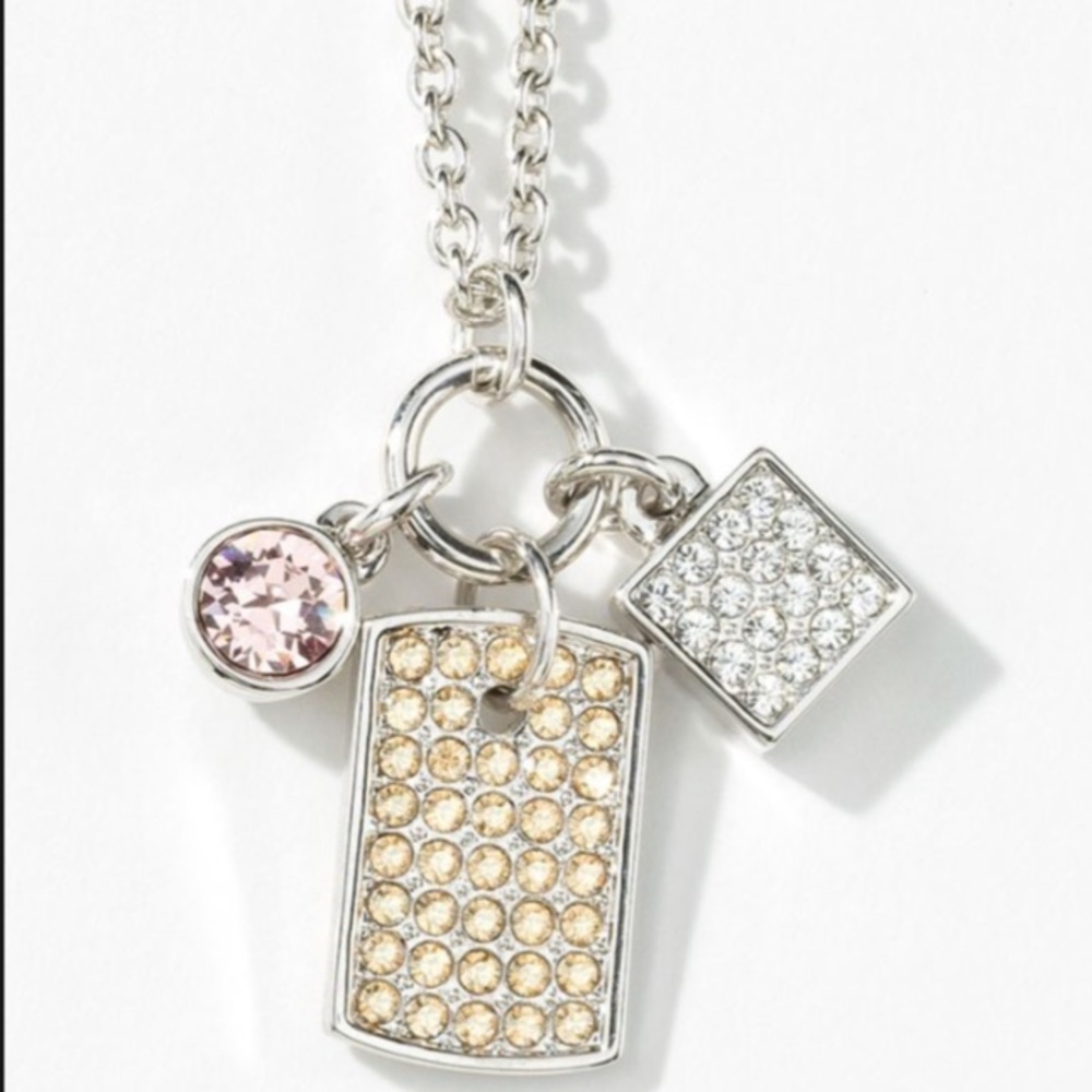 Touchstone Crystal Tag Along Necklace